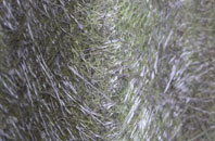 Gartnagrenach fibreglass roof work